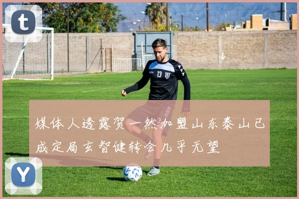 媒体人透露贺一然加盟山东泰山已成定局玄智健转会几乎无望