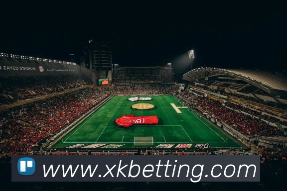 星空体育平台生态图