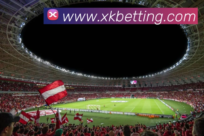 星空体育APP 封面图